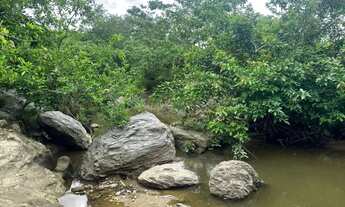 Imagem 7: Vende se chácara na margem do rio gameleira
