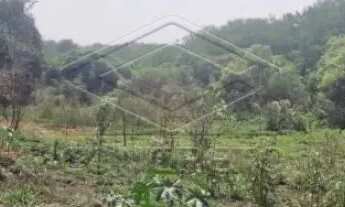 Imagem: Terreno Área em Bauru