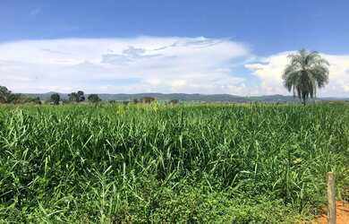 Imagem 2: Chácara em Varjão/GO