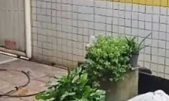 Imagem 3: Casa à venda em rua pública, FAROLÂNDIA, Aracaju, SE