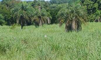 Imagem 3: SITIO EM RIANAPOLIS 2.5 ALQUEIRES