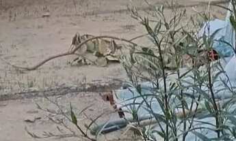 Imagem: Vendo terreno com um terreno com uma casinha