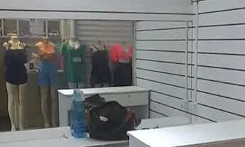 Imagem 2: VENDO BOX SETOR VERDE