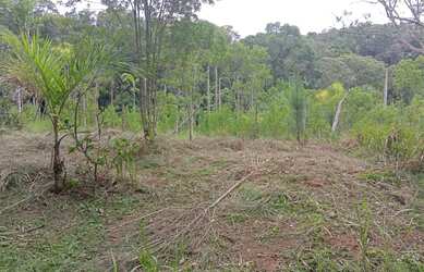 Imagem 3: Terreno para Chácara na estrada do Verava - Ibiuna