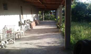 Imagem 3: Vendo Sítio em Alecrim ( Distrito de cachoeira Ba