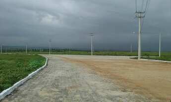 Imagem 6: Terrenos em ( CANGUARETAMA