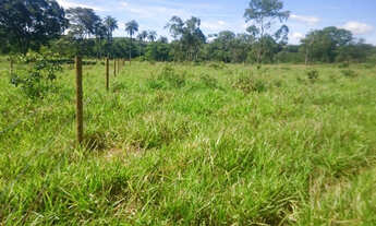 Imagem 6: Chácara plana de 1800M² na serra do Cipo! *