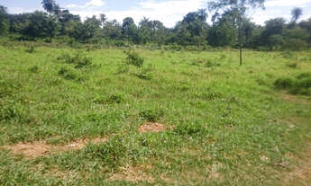 Imagem 5: Chácara plana de 1800M² na serra do Cipo! *