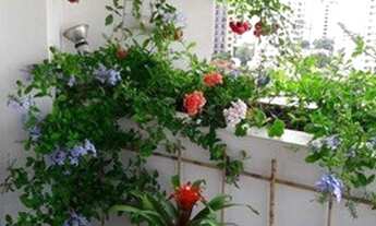 Imagem 6: Apartamento para Locação em São Paulo, Indianópolis, 2 dormitórios, 3 banheiros, 2 vagas