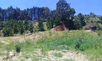 Imagem 2: Terreno - Cotia Terreno / lote com venda por R$130.000