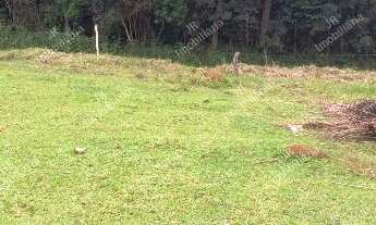 Imagem: Excelente Chácara Sem Benfeitorias