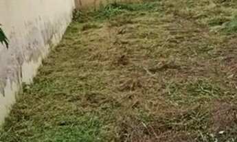 Imagem: Terreno Jardim Palmares em Ribeirão Preto