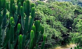 Imagem 3: Apartamento próximo ao balneário