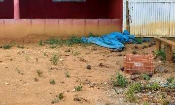 Imagem 3: Chacara Brazlândia 5 hectares região radiobras plana