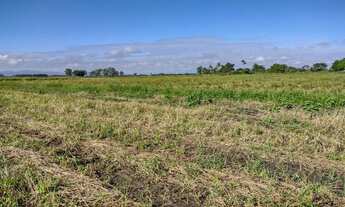 Imagem 7: Fazenda/Sítio/Chácara para venda possui 20000 metros quadrados