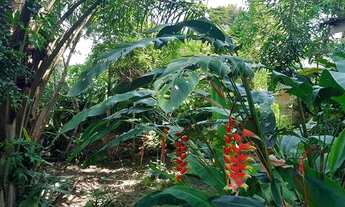 Imagem 7: Apartamento para venda tem 99 metros quadrados com 2 quartos em Santa Teresa - Rio de Jane