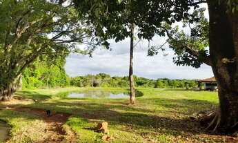 Imagem 6: Chácara de 9 hectares. 19 km de Campo Grande. Rica em água