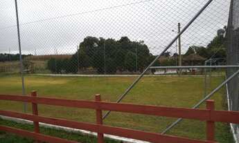 Imagem 7: Chácara 17.000mts2 com casa próximo de Gramado