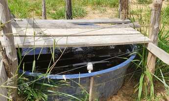 Imagem 6: Fazenda de 67 hectares no Município de Buritis Mg