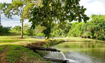 Imagem 5: Chácara de 9 hectares. 19 km de Campo Grande. Rica em água