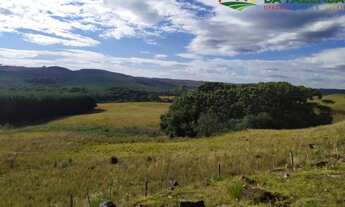 Imagem 7: VENDO FAZENDA DE 178 HECTARES