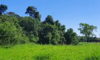 Imagem 2: Excelentes Terrenos Financiados em São Gonçalo do Pará