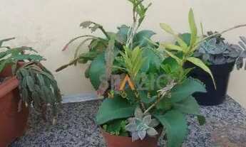 Imagem 2: Casa com 3 dormitórios, 297 m² - venda por R$ 560.000,00 ou aluguel por R$ 2.338,00/mês