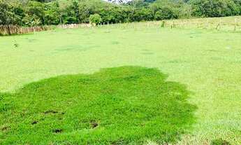 Imagem 4: Lf- Vende-se terreno para sua chácara