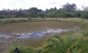Imagem 7: Terreno para Venda - 0m², 0 dormitórios, Ponta Grossa