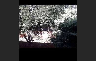 Imagem 2: Vendo ou troco por maior valor