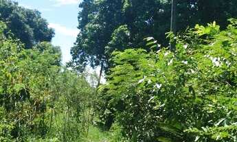 Imagem 5: Excelente sítio