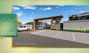 Imagem 3: Burle Marx - Jardins do Leste