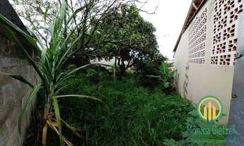 Imagem 3: Terreno de rua em zona mista, toda murada