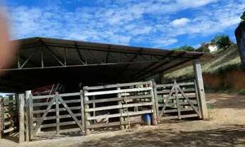 Imagem 7: FAZENDA COMPLETA GADO LEITE