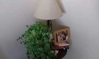 Imagem 6: Aluga casa jardim aclimaçao