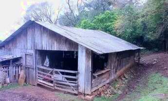 Imagem 7: Chácara pronta,7,7 hectares valor 300,000,00