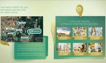 Imagem 7: Burle Marx - Jardins do Leste