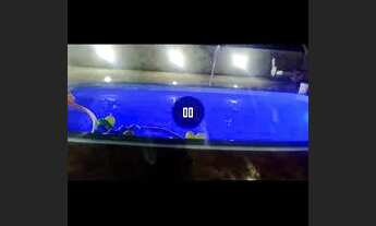 Imagem 11: Casa de praia 60 por pessoa a diária até 10pessoas