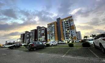 Imagem 2: Vendo Gran park pássaros com armarios projetados no calhau