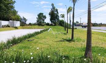 Imagem 3: Apartamento 2 dormitórios a venda em Passo de Torres