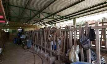 Imagem 3: FAZENDA COMPLETA GADO LEITE