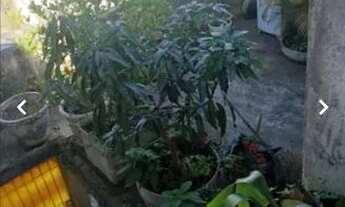 Imagem 4: Casa em itaquera