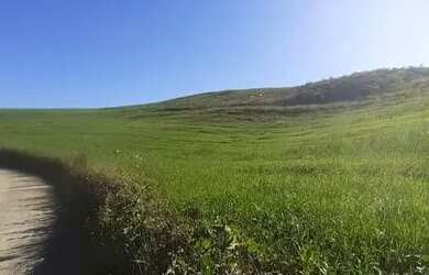 Imagem 3: LINDO SITIO 5 ALQUERES E MEIO, 133 MIL M², A 4 KM DA RODOVIA DO XISTO, MARIENTAL CONTENDA