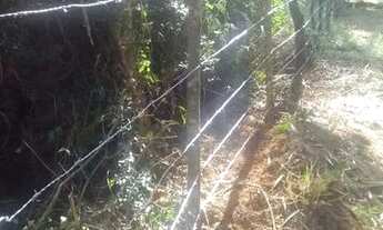 Imagem 3: Vende-se terreno em São Roque