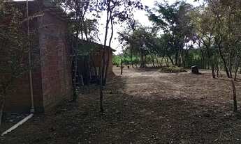 Imagem: Casa na zona rural de Altos- PI