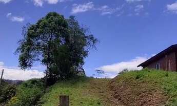 Imagem 3: Vendo ou troco terreno no sítio