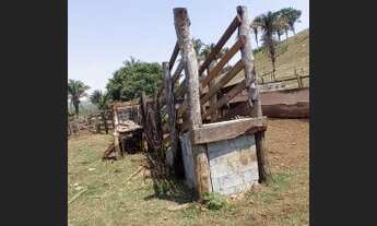 Imagem 4: Fazenda no DF com 30 hectares oportunidade