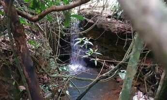 Imagem: Fazenda/Sítio/Chácara para venda possui