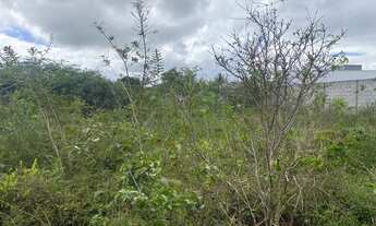 Imagem 5: Excelente terreno para alugar 50 metro saindo da Avenida Nóide Cerqueira