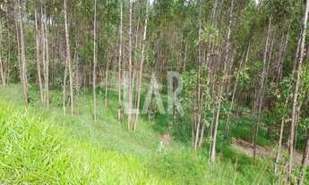 Imagem 7: Lote - Terreno à venda, Centro - Juatuba/MG